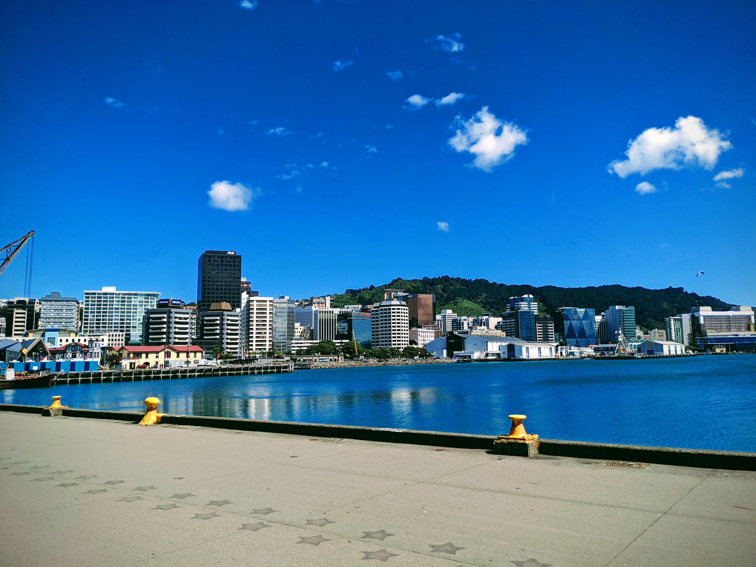 Wellington waterfront on a sunny day. Photo by Jannes Mingram